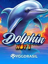 dolphin-hot-1